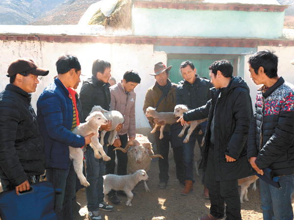 农村短平快种植致富项目山区,甘肃农村致富小项目