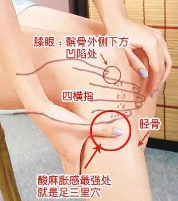 春运困境如何解决,春运旅途风险如何减少