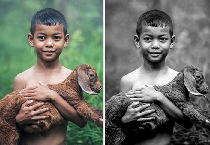 摄影师入门的24寸显示器,明基sw240显示器校色教程