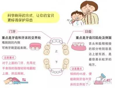 儿童电动牙刷的正确刷牙方法,电动牙刷儿童用