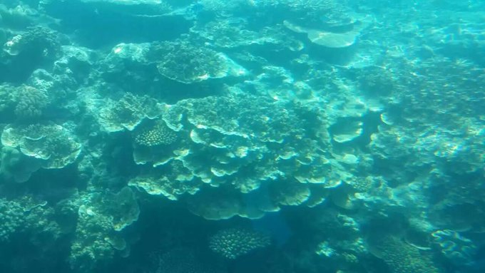 澳大利亚昆士兰自由行攻略,去澳大利亚昆士兰州旅游攻略