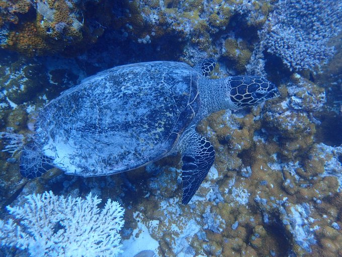 马尔代夫自由行七日游人均两万,马尔代夫一个人3天旅游费用