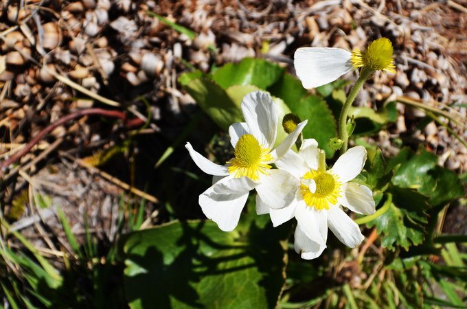 趁年轻我们一起去旅行吧,趁年轻我们一起去旅行
