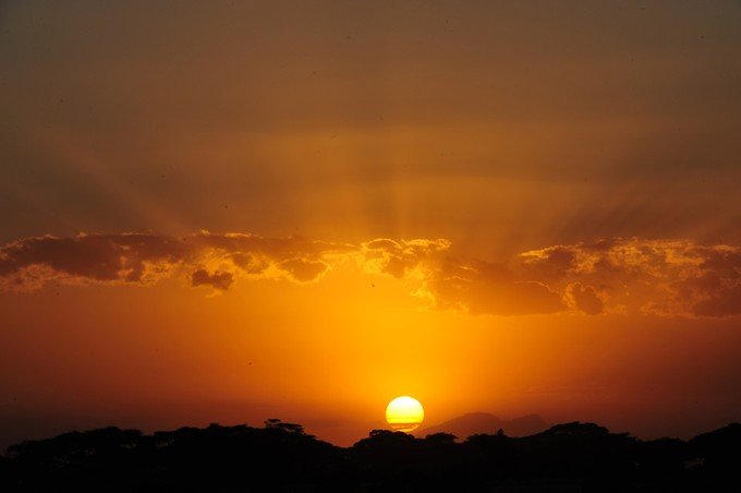 肯尼亚5天难忘的野生动物园,肯尼亚野生动物之旅