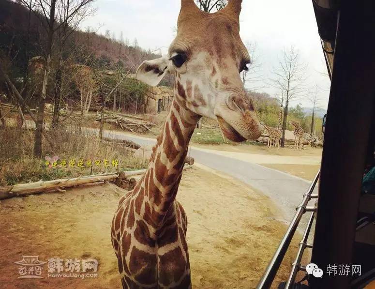 闺蜜两个去超市买零食吃,闺蜜两人闯天下