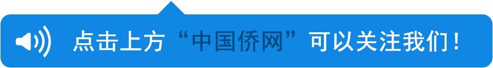 欧洲杯输了倾家荡产,今年欧洲杯多少人倾家荡产