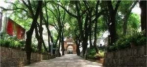 哇！福建这6所学校请足球外教，国家来出钱！