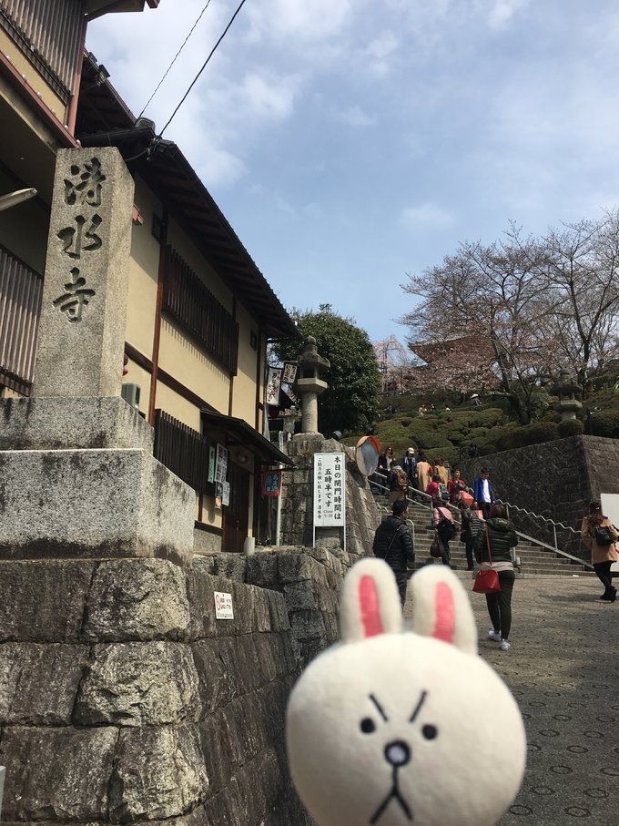 16年的大阪,京都樱花2016