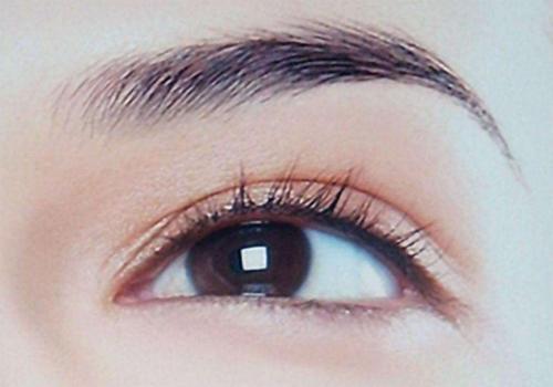 种植眉毛一般能保持多久,成都种植眉毛一般多少钱