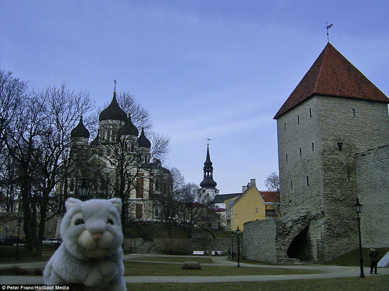 男子携带玩偶兔旅行20多国你想携带什么？