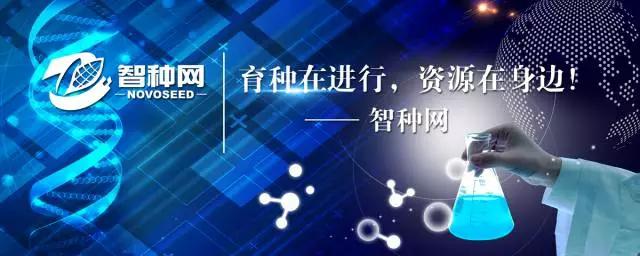 如何寻找种植基地,怎么寻找农作物种子