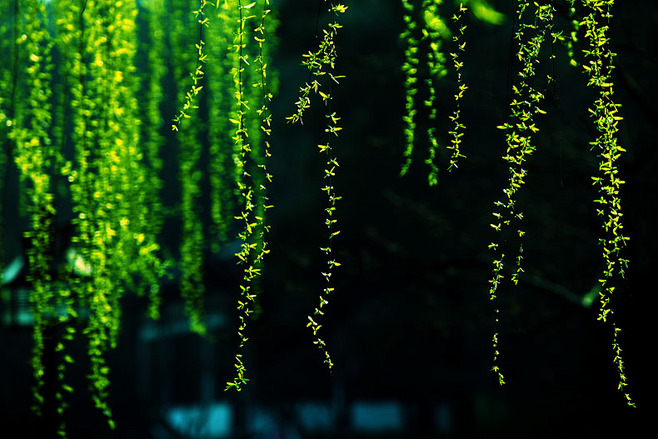 人死后托梦是怎么回事,人去世后托梦是真的吗