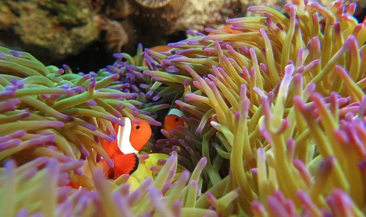 在中国最值得去的城市,中国哪里能媲美阿尔卑斯山