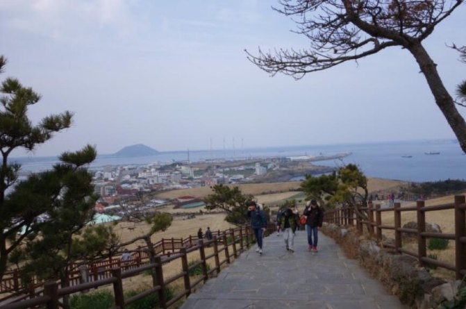 去济州岛旅游可以租车吗,济州岛租车需要什么手续