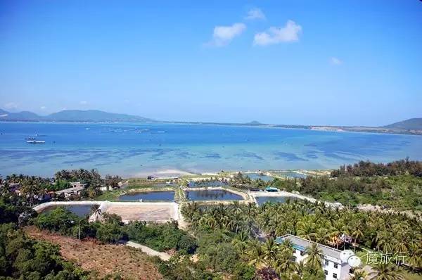 海南的海岛旅游南湾猴岛,推荐一个好地方南湾猴岛