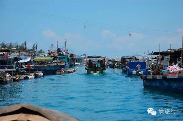 海南的海岛旅游南湾猴岛,推荐一个好地方南湾猴岛