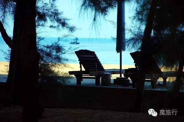 海南的海岛旅游南湾猴岛,推荐一个好地方南湾猴岛