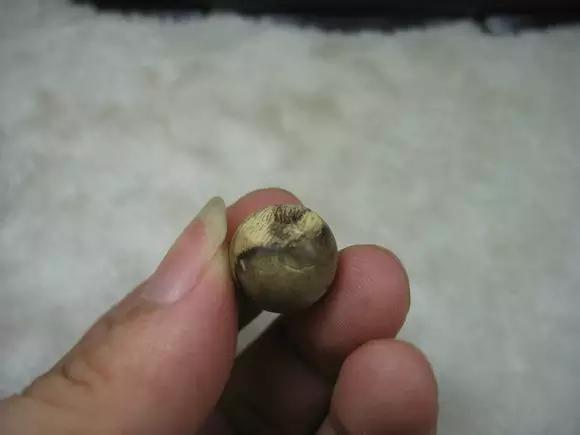 沉香如何看油线,沉香线稿图