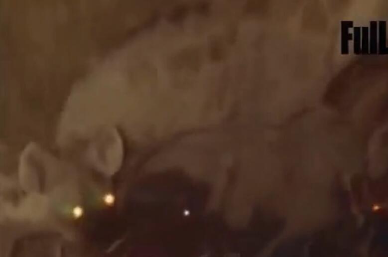 鬣狗吃小象的真实视频,鬣狗吃掉小象