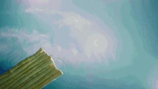 小肥羊营销战略以及现状,小肥羊广告片解析