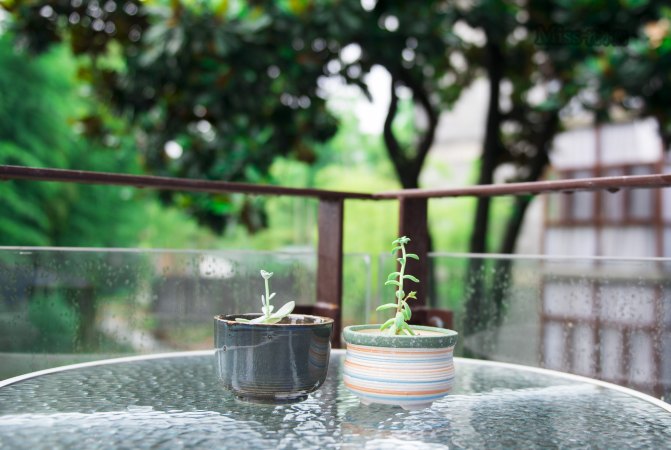 在这座神山中，我们每个人都是武林高手