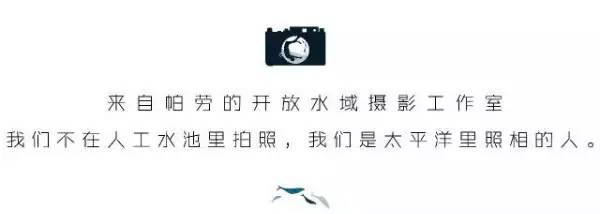 帕劳旅游景点视频,帕劳旅游真实生活