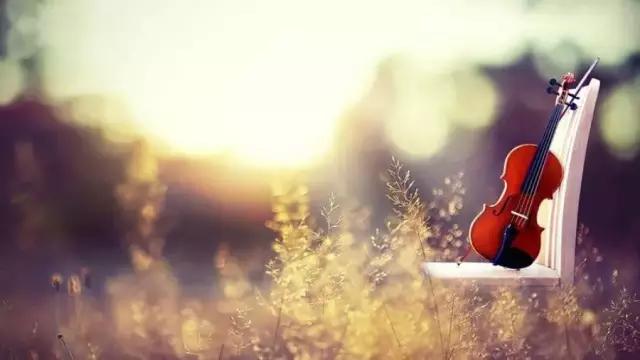 时光不老我们不散的意思是说什么,时光不老我们不散留下美好回忆