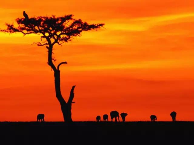 世界各国签证时间表,世界各国签证最新政策