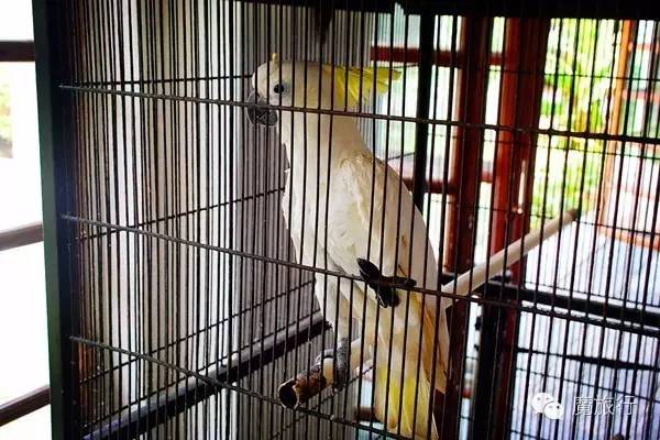 海南的海岛旅游南湾猴岛,推荐一个好地方南湾猴岛