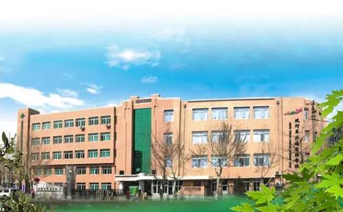 沈阳中小学排名一览表2020,沈阳小学初中高中学校排行榜