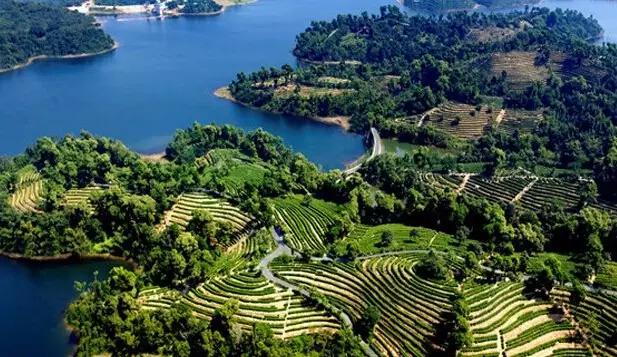 深圳及周边最值得爬的山,深圳有什么值得爬的山