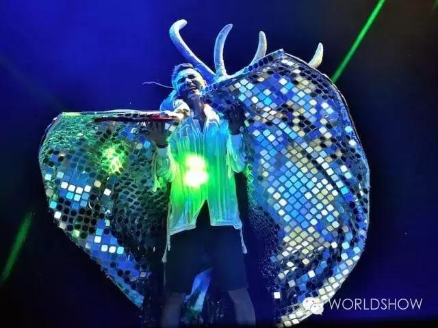 最惊艳的鸟巢,鸟巢吸引鸟的视频