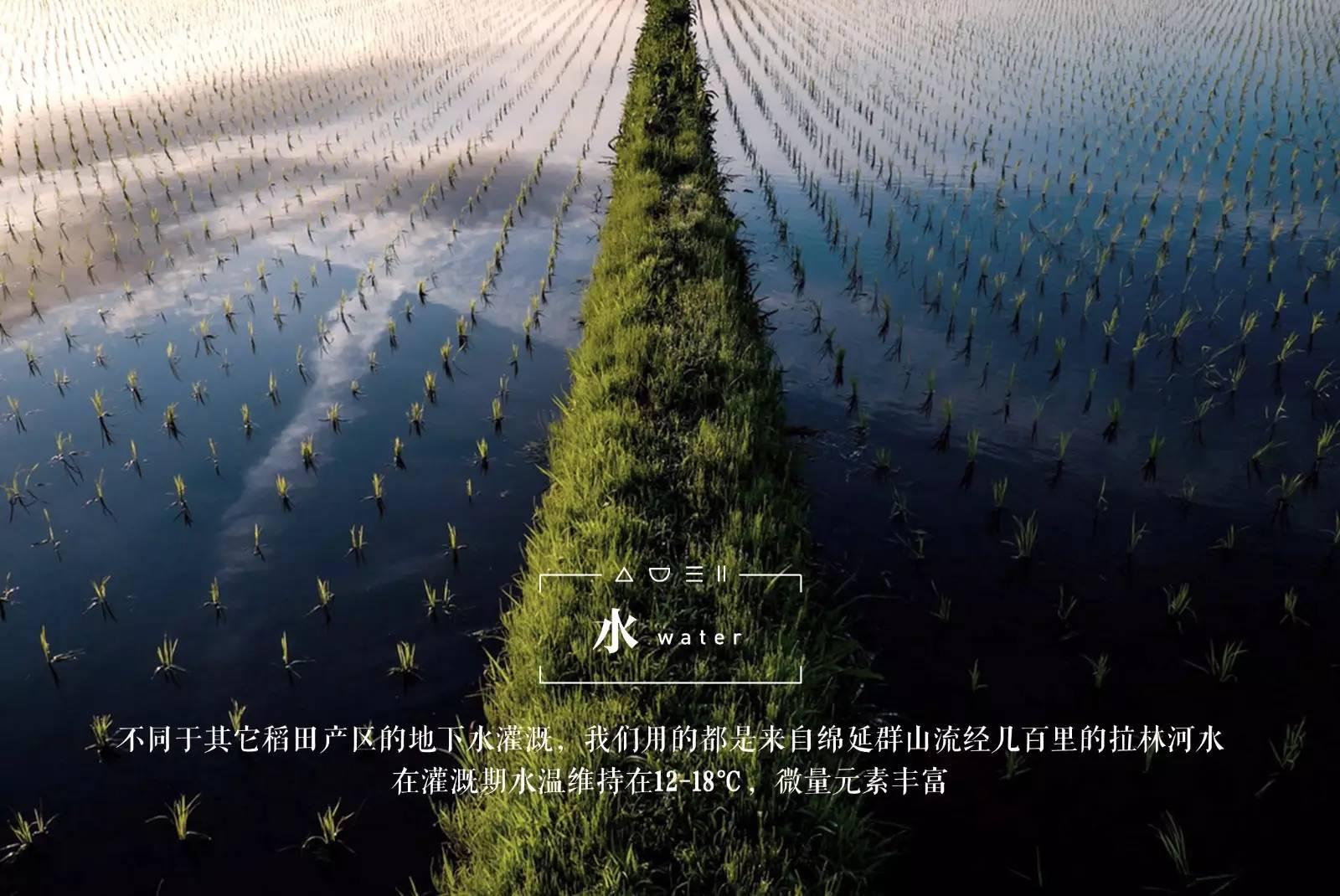 脚气病患者的福音,脚气病日本人