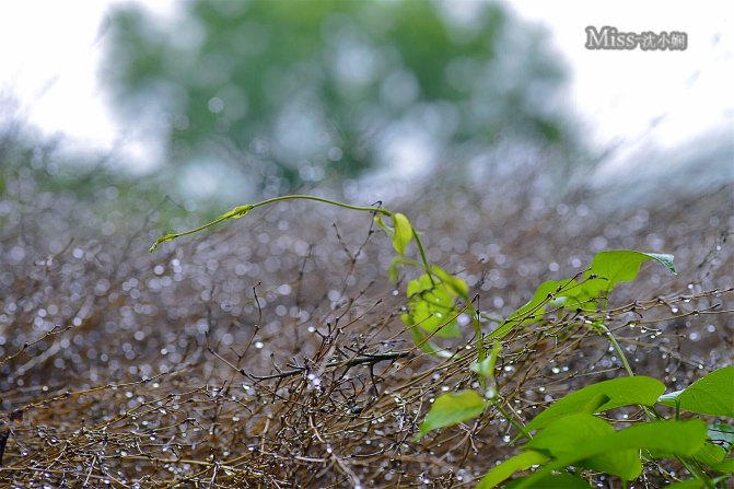 在这座神山中，我们每个人都是武林高手