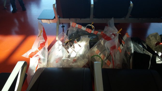 去济州岛旅游可以租车吗,济州岛租车需要什么手续