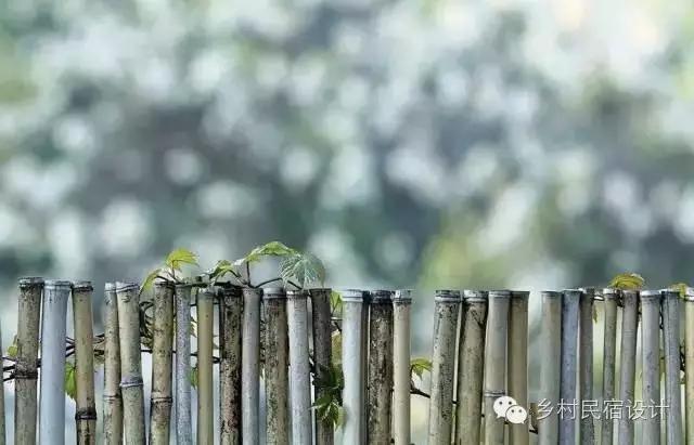 最迷人的风景令人陶醉,杭州十大秋色秘境小镇