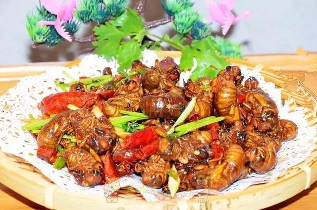 平顶山那些从来不上团购的饭店，好吃，就是辣么任性！