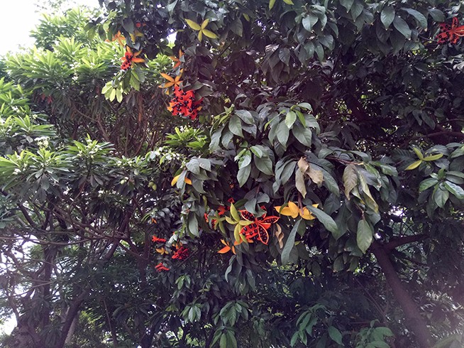 魅蓝3s小白测评,魅蓝3s还能干啥