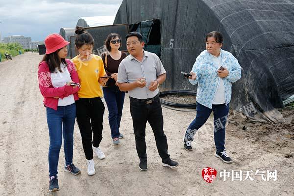 废木头长出“金元宝”*疆新**特克斯实现生态有机良性循环