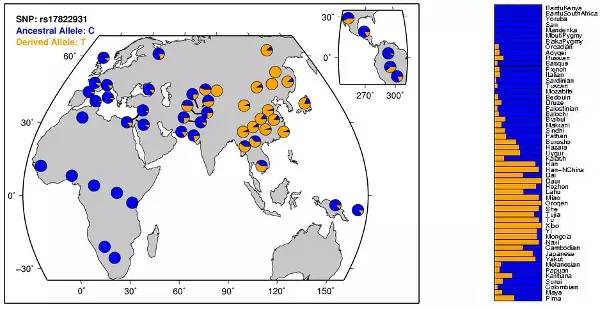 狐臭更健康,怎么解决狐臭遗传问题