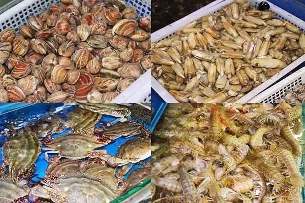 威海的海鲜,威海哪里能吃到最好吃的海鲜大咖