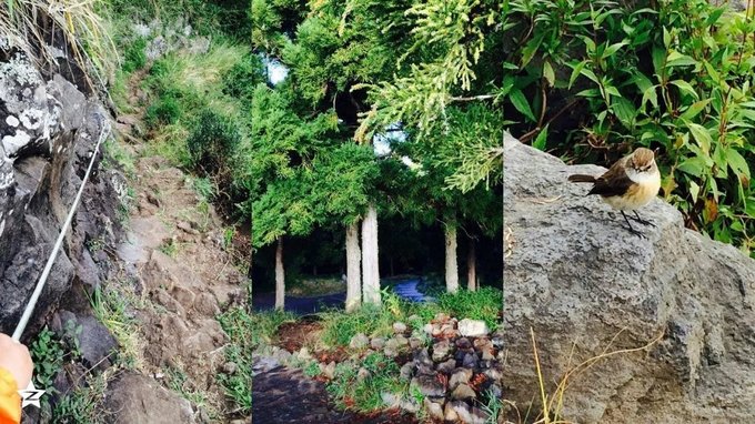 【桑巴森林看世界】留尼汪，让我留在世界的尽头-西印度洋岛国连载之二（更新中）