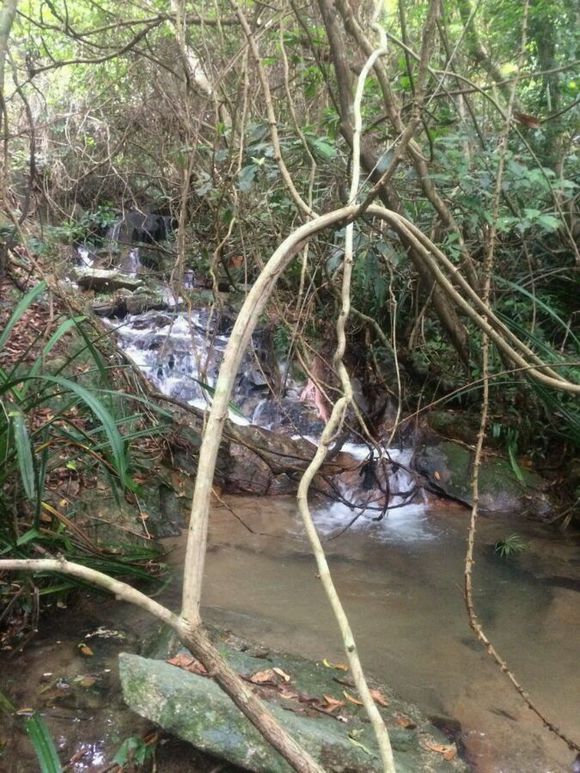 洞里发现玉石原石,洞里发现绿石