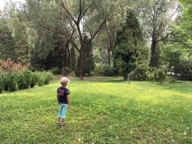 顺义后沙峪镇,顺义区后沙峪村