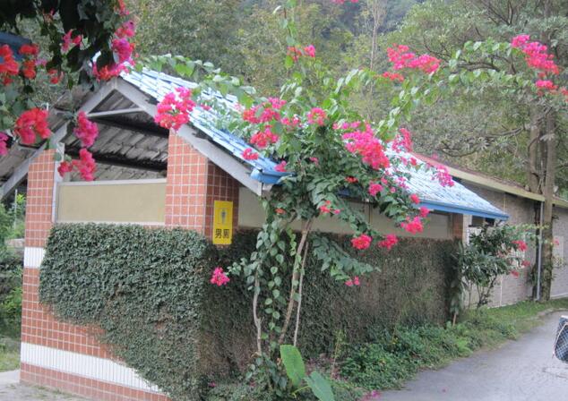 台湾休闲农业农庄,农庄老板谈园林