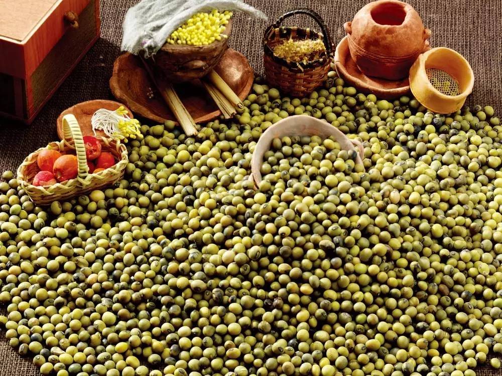 夏季感冒怎么办?