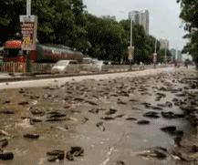 怎么不用手就能把足球给拿起来,打不过就把足球拿起来