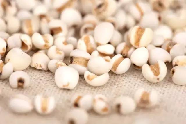 *力暴**梅来袭！园区人请收好这份防霉攻略，全是专家推荐的干货！