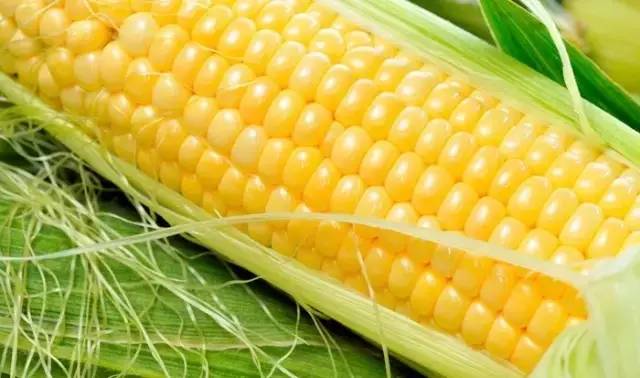 *力暴**梅来袭！园区人请收好这份防霉攻略，全是专家推荐的干货！