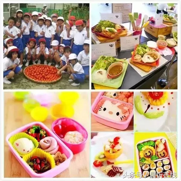 教育是最廉价的国防,走进日本幼儿园才发觉孩子上了个假幼儿园!